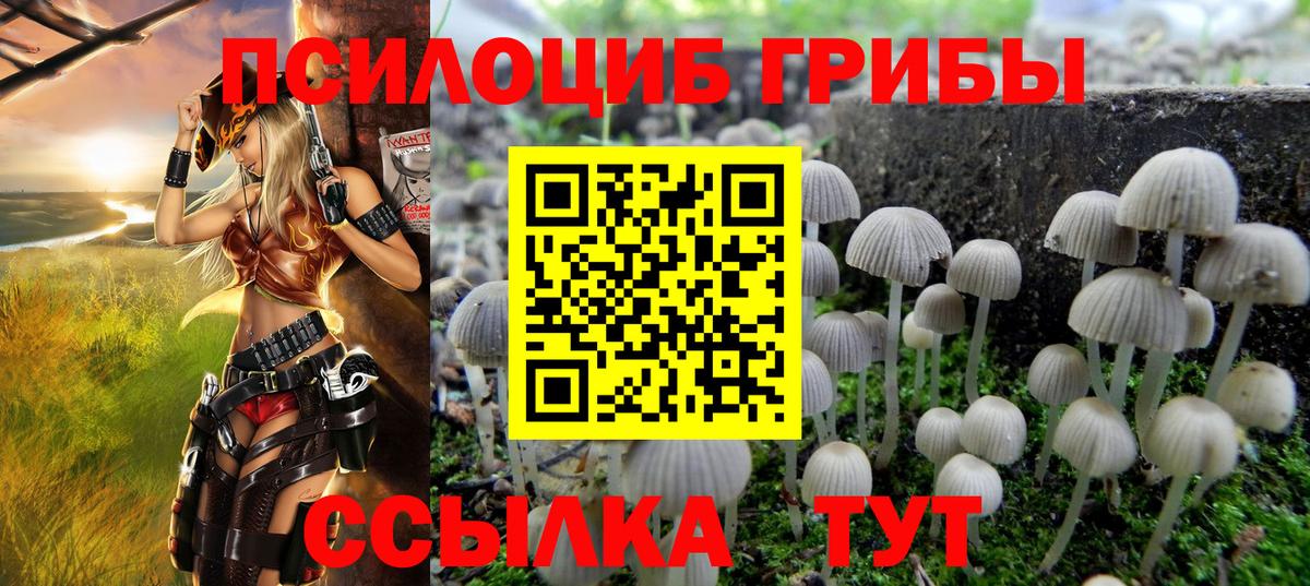 Галлюциногенные грибы MAGIC MUSHROOMS Сертолово